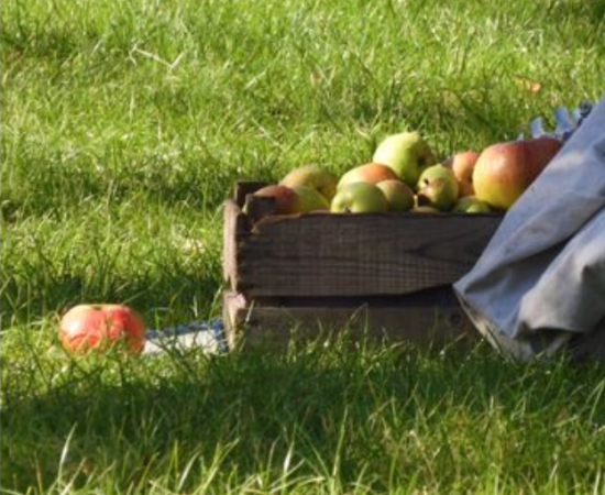 Appels.png